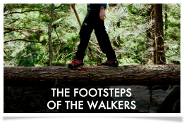THE FOOTSTEPS OF THE WALKERS