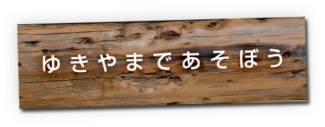 ゆきやまであそぼう