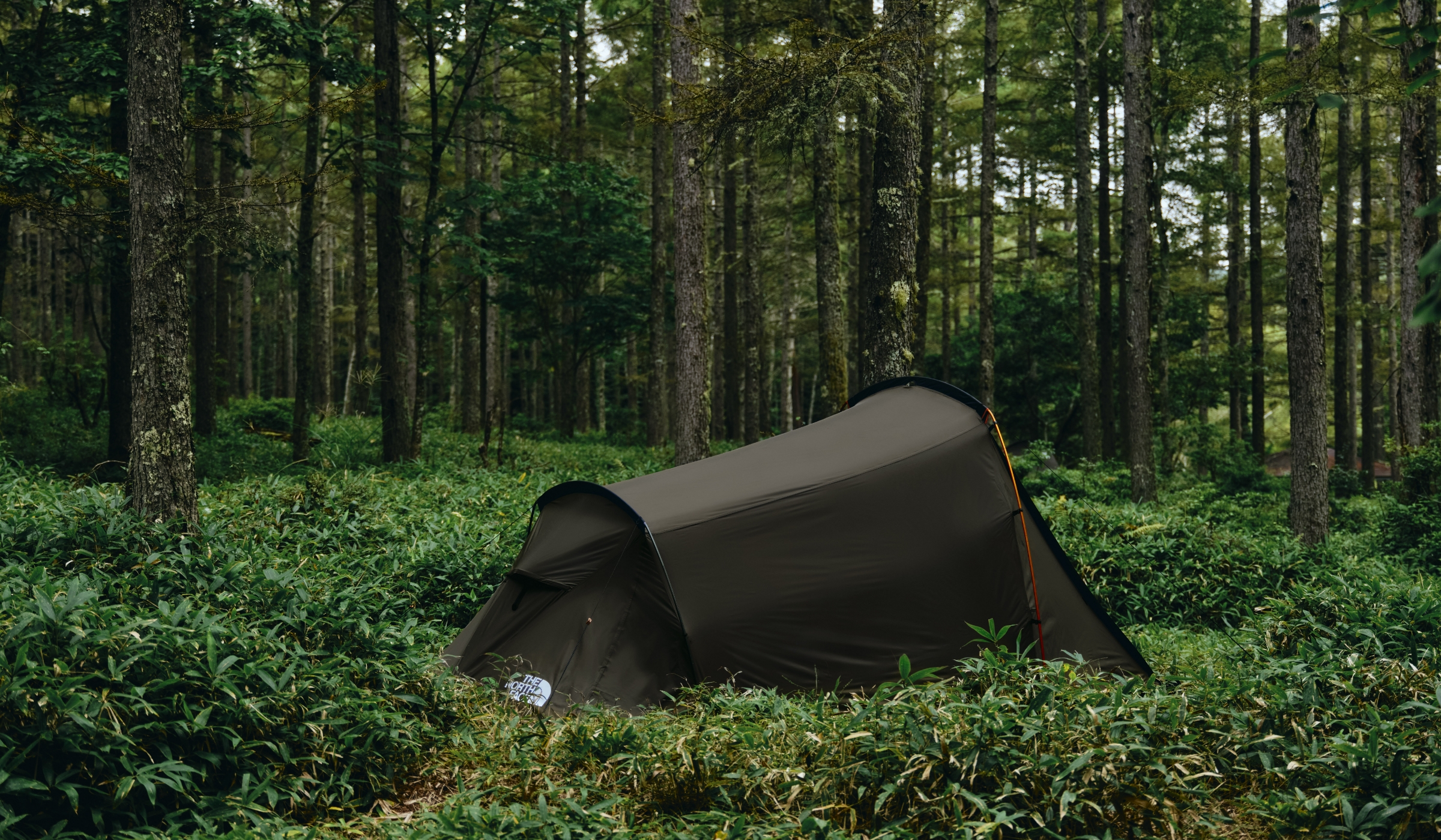 Evacargo 4 | Online Camp Store | THE NORTH FACE CAMP