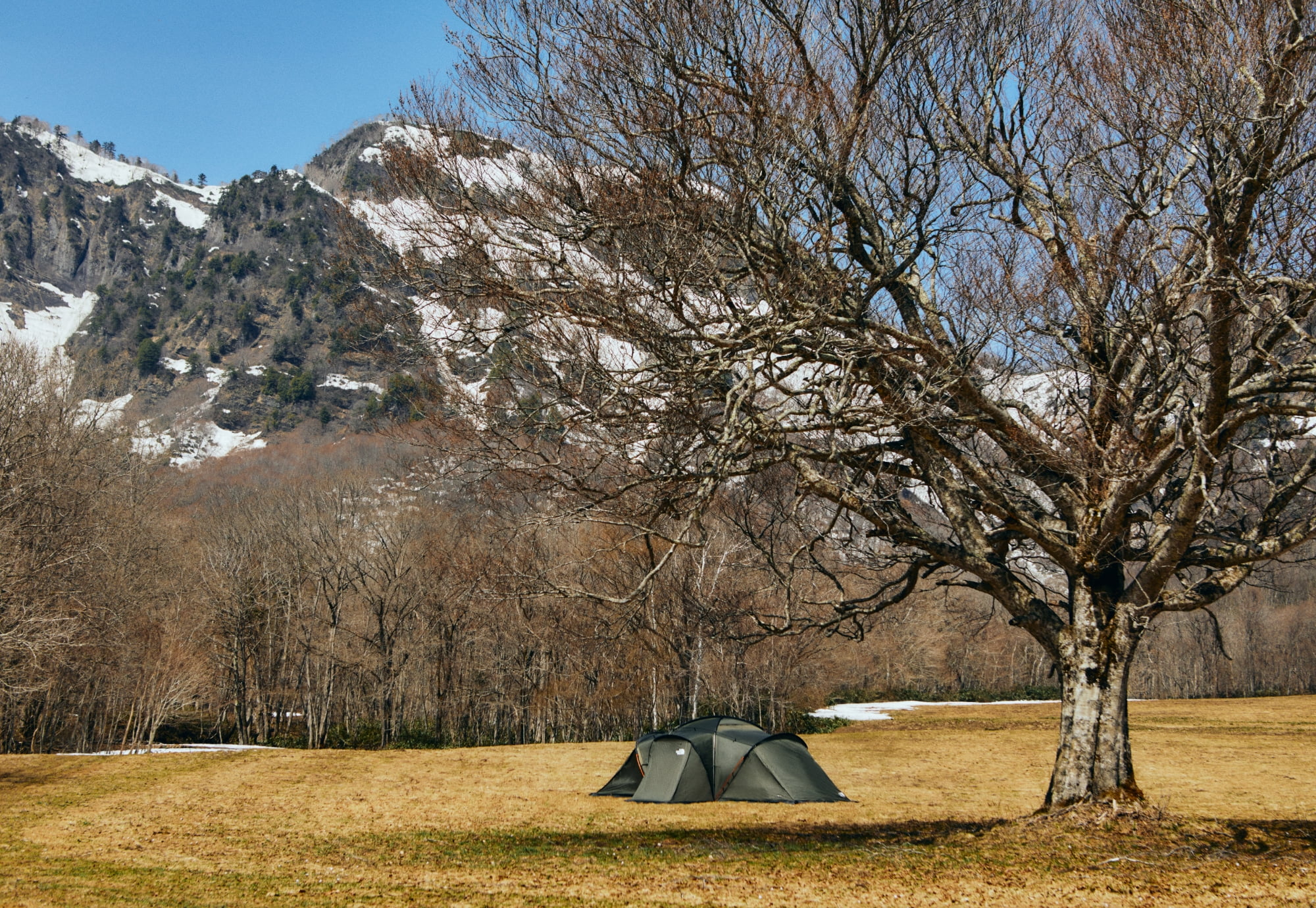 Tent & Tarp | THE NORTH FACE CAMP ノースフェイステント