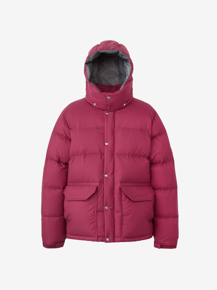 Camp Sierra Short | Online Camp Store | THE NORTH FACE CAMP