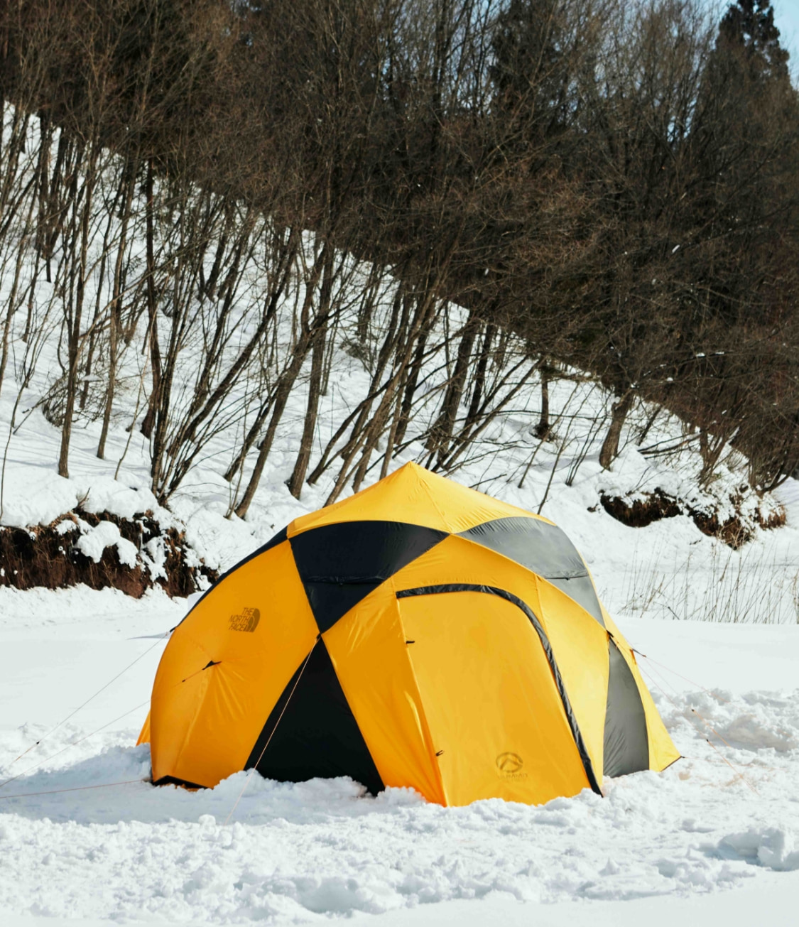 Dome 5 | Online Camp Store | THE NORTH FACE CAMP