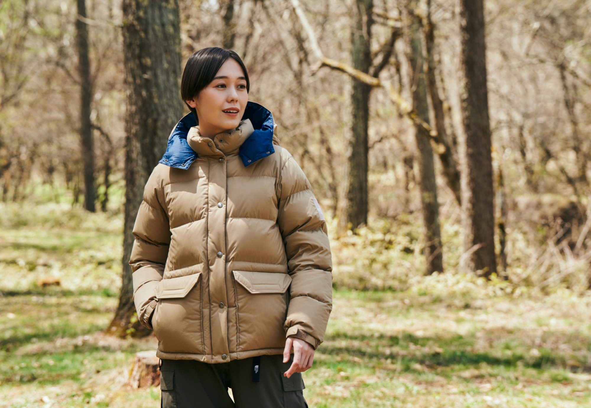 Camp Sierra Short | Online Camp Store | THE NORTH FACE CAMP