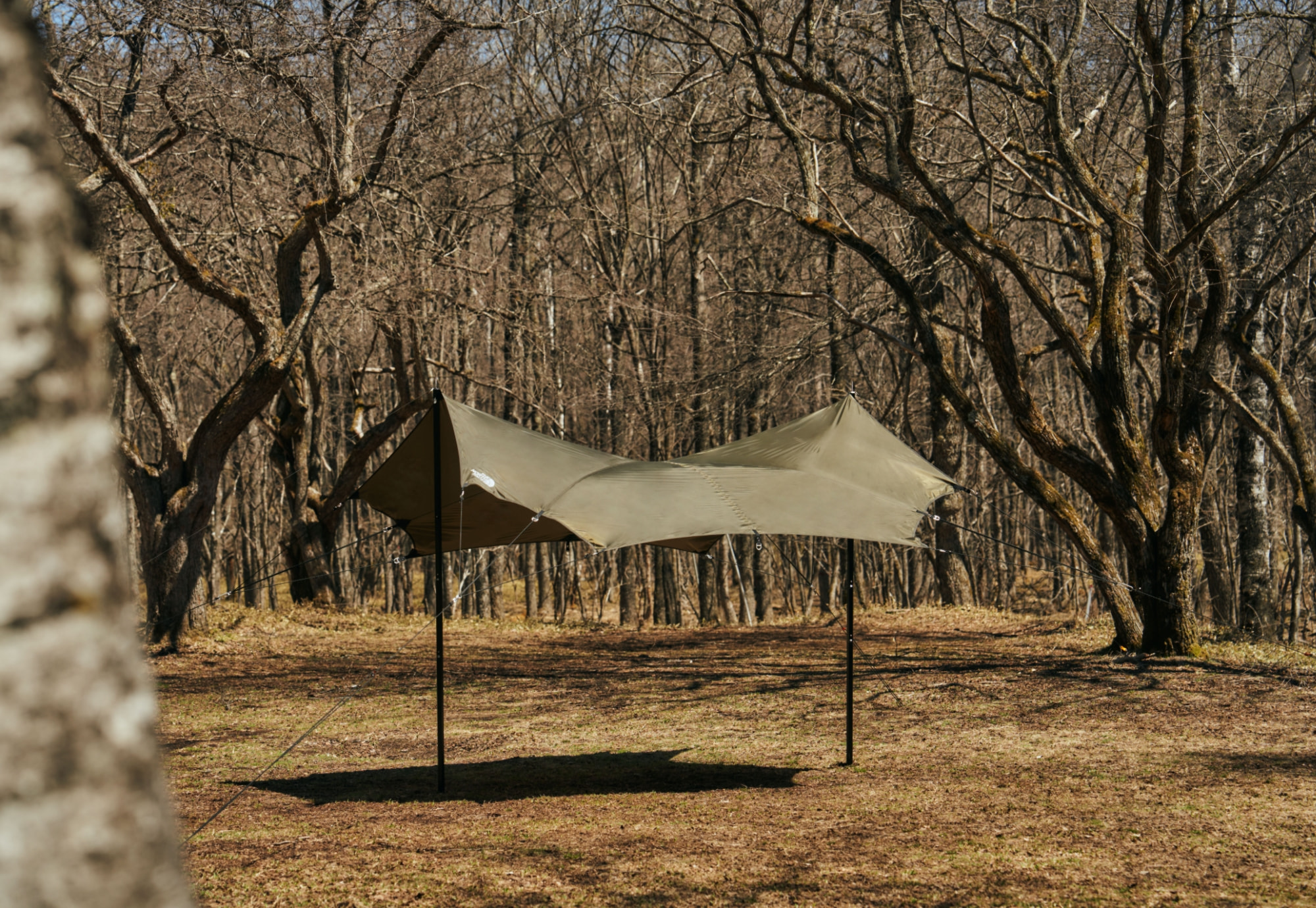 Nebula Tarp 2 | Online Camp Store | THE NORTH FACE CAMP